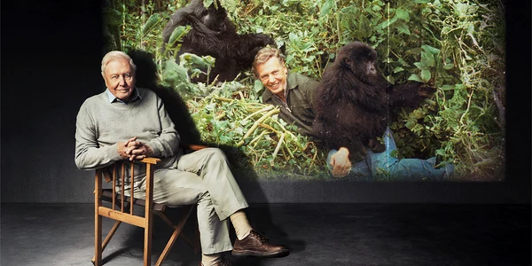 David Attenborough bbc jpeg