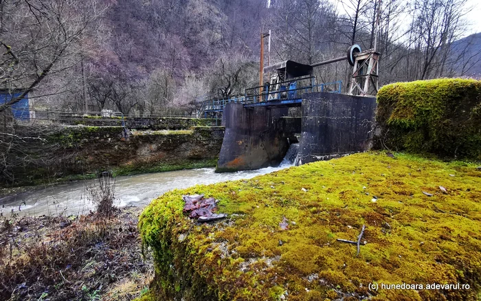 Ruinele barajului din Govâjdia, construit în anii 1900. Foto: Daniel Guță. ADEVĂRUL