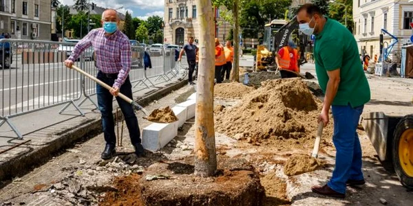 emil boc planteaza copaci facebook