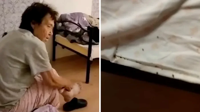 Ploșnițe și mizerie de nedescris în azilul din Mogoșoaia.