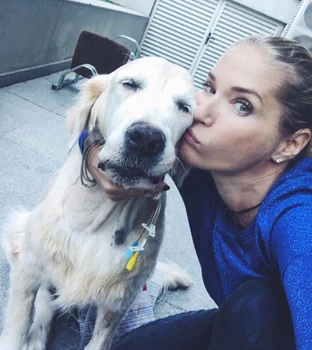 Ileana Badiu Jean Catalin Badiu Constantin Ifteme Centru de Endoscopie si Chirurgie Minim Invaziva Veterinara (1) jpeg