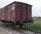 Auschwitz-Birkenau FOTO Ştefan Both