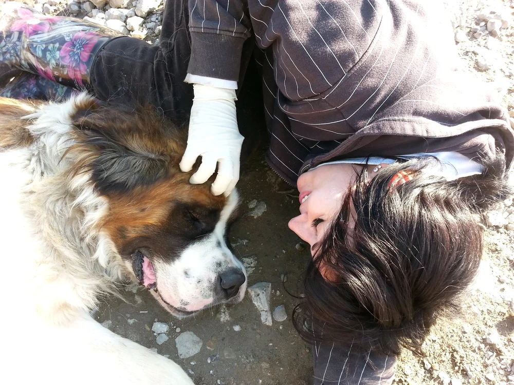 Corina Grigore, îngerul animalelor fără stăpân FOTO: Arhivă Personală
