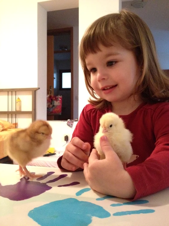 Sasha şi prietenii ei