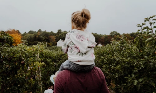 kelly sikkema beg4vkagLzs unsplash (1) (1) jpg