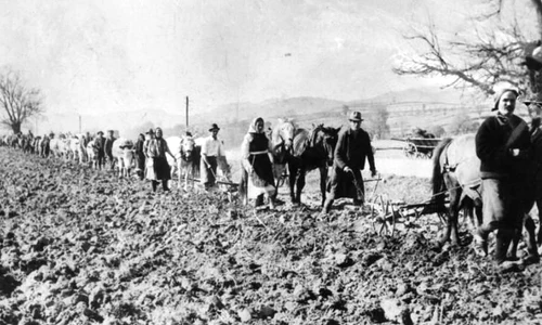 Revolta din Suraia împotriva colectivizării / VIDEO  jpeg