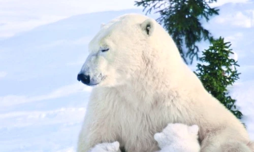 1 46834 original jpg jpeg