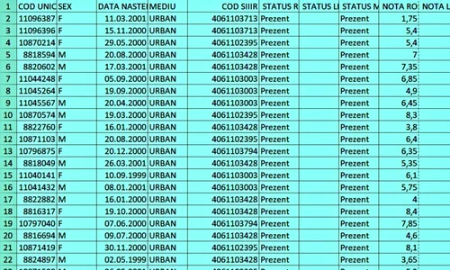 Așa vor vor fi publicate rezultatele la examene! În locul numelui candidaților vor fi coduri jpeg