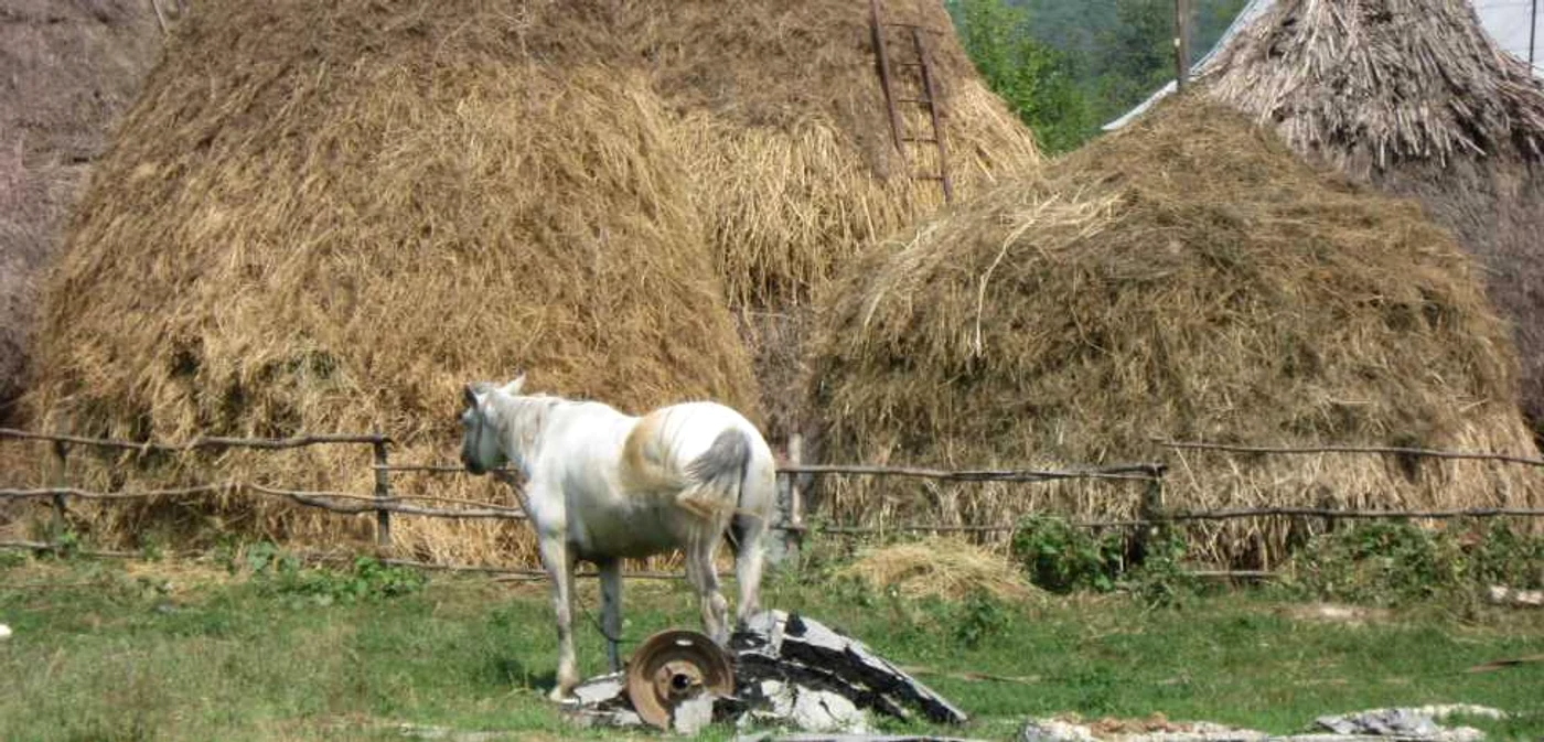 A ascuns masina de spalat in claia cu fan