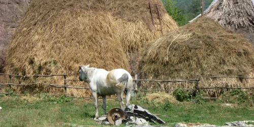 A ascuns masina de spalat in claia cu fan