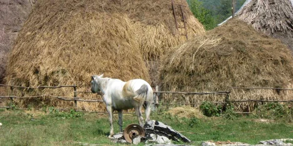 A ascuns masina de spalat in claia cu fan