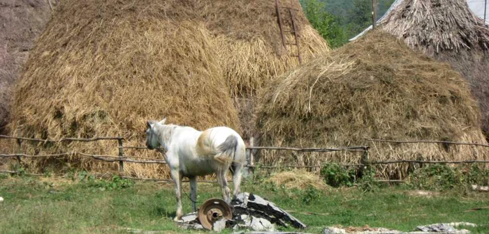 A ascuns masina de spalat in claia cu fan