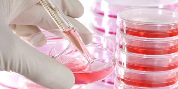 Testul de sânge identifică particulele de ADN afectate de cancer