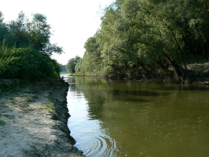 calarasi atractii salbatuce la dunare foto natura2000.ro