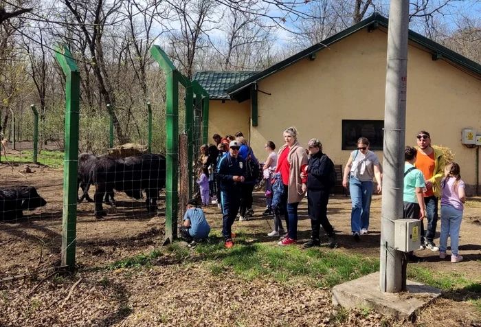 copii ucraineni FOTO Dana Hancu 2