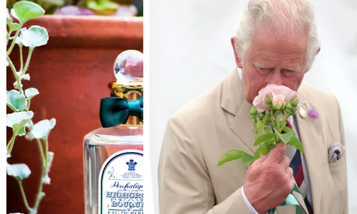 Prințul Charles Parfum jpg