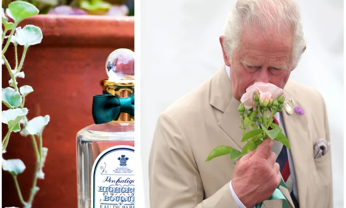 Prințul Charles Parfum jpg