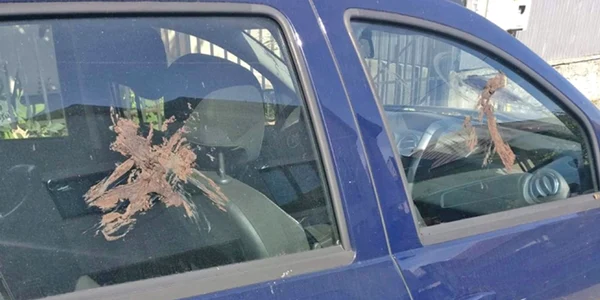 Mașina Gărzii de Mediu Vâlcea spoită cu fecale Foto Adrian Pană jpg