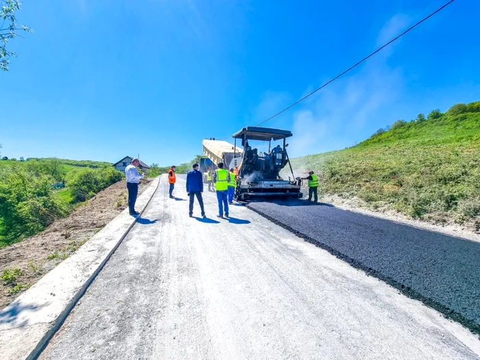 transalpina apuseni