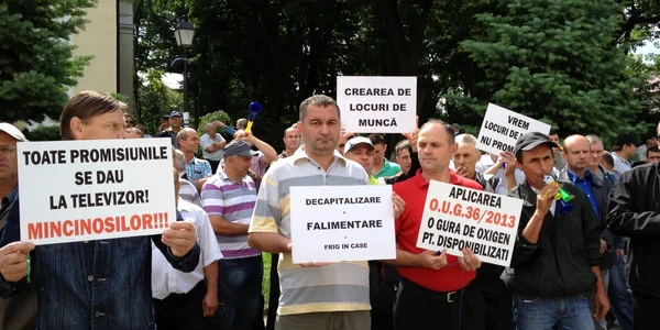 protest disponibilizati termica suceava FOTO