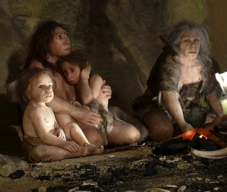 11 familie de neanderthal httpwww pressherald com jpg jpeg