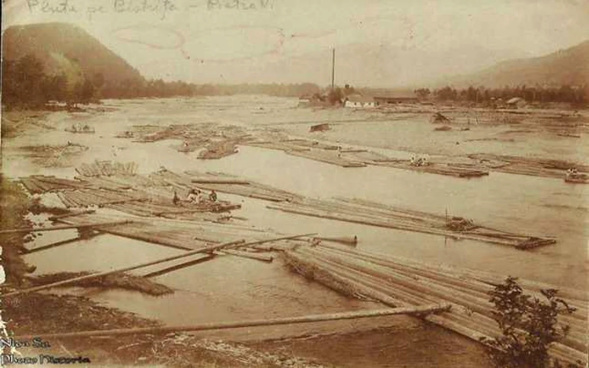 Plute la Piatra Neamţ. FOTO Centrul Carmen Saeculare Neamţ