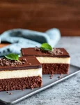 Prajitura cu ciocolata si fulgi de cocos  Sursa foto shutterstock 1856740180 jpg