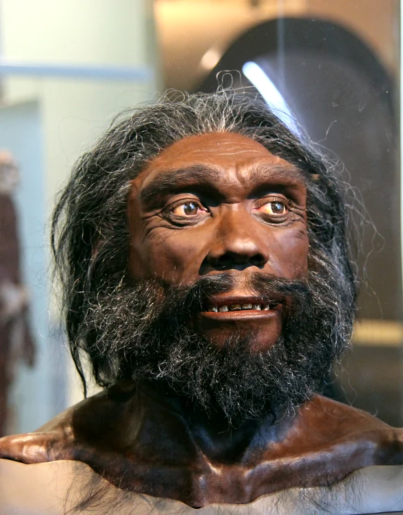 Homo Heilderbergensis FOTO worldhistory.org