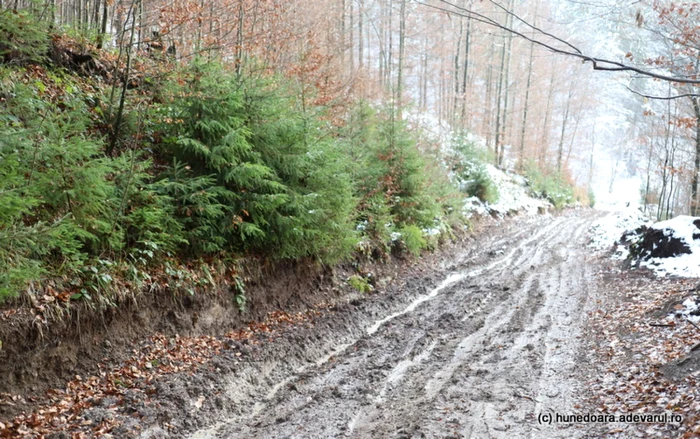 drumuri rele hunedoara foto daniel guta adevarul