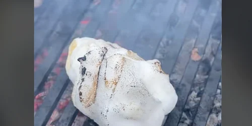 zapada pe gratar foto tiktok