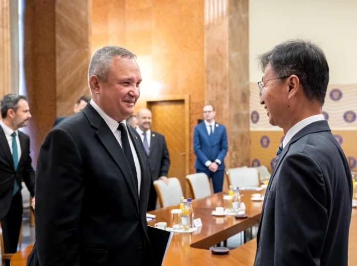 FOTO Guvernul României