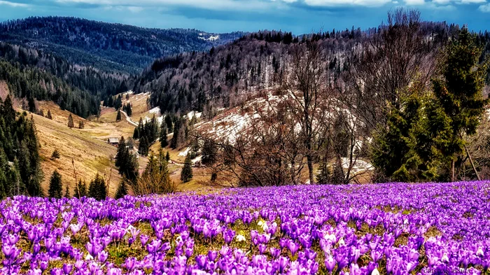 Peisaj din Apuseni. Foto: Cristian Resiga. 