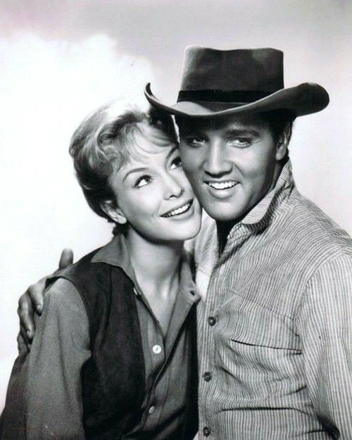 4 barbara eden jpg jpeg