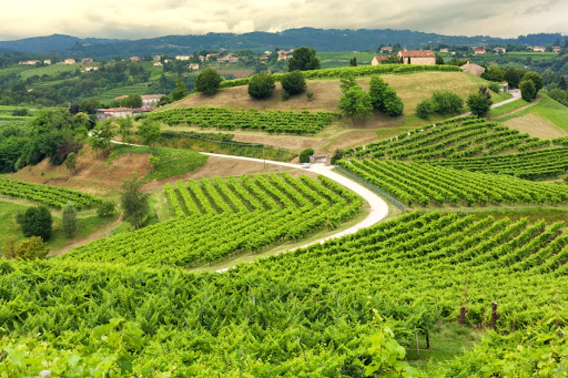 proseccco