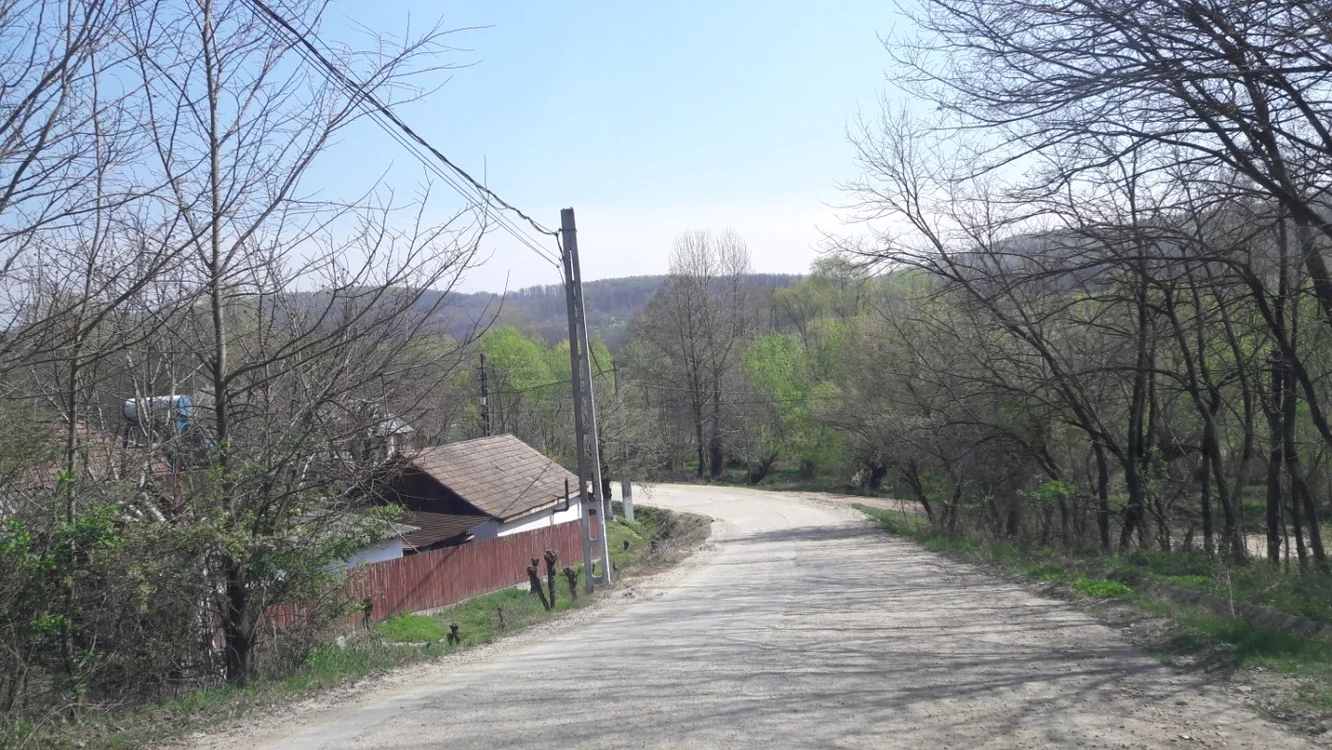 Copiii şi nepoţii părăsesc fără regret satul copilăriei FOTO: Alina Mitran