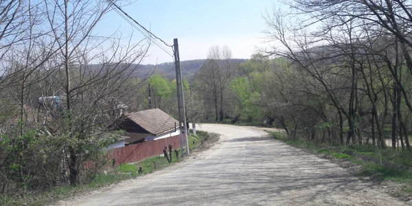 satul oltenesc se vinde pe bucăţi