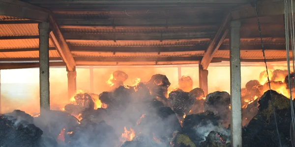 Incendiu devastator la ferma companiei Diana din Vâlcea Foto ISU Vâlcea jpg