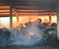 Incendiu devastator la ferma companiei Diana din Vâlcea Foto ISU Vâlcea jpg