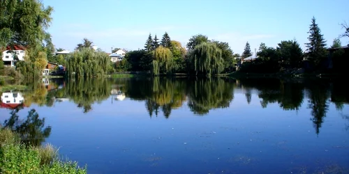 lac campina foto panoramio