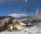 Pădurea de argint, Săcărâmb Foro Daniel Guță ADEVĂRUL (95) JPG