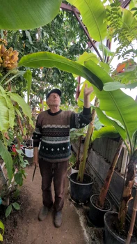 Sera are aproape 40 de metri pătrați și este încălzită cu o centrală proprie. FOTO: Facebook/Ziarul Unirea