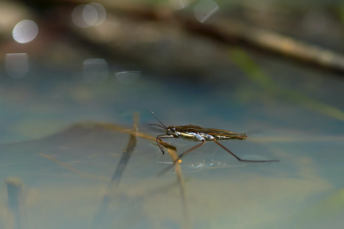 
    Foto: Unsplash.com  