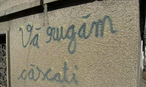 Cu ochii n 3,14 jpeg