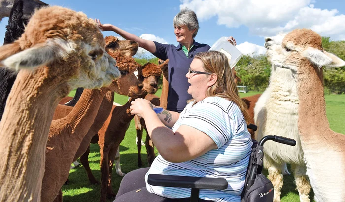 Victoria alege anumite animale pentru fiecare pacient
