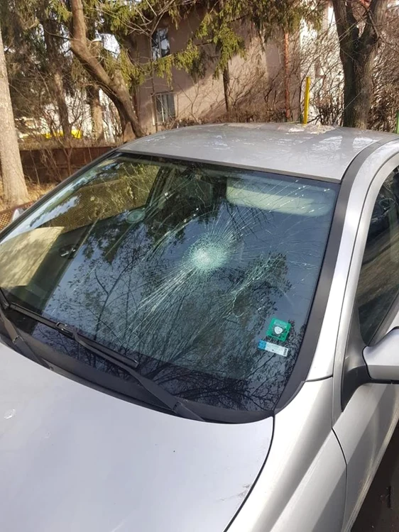 liceul spiru haret ploiesti unde a fost injunghiata o profesoara foto diana frincu